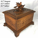 Antique Black Forest Carved 9.25" Cigar Chest, Box, Caddy, Lovebirds & Nest