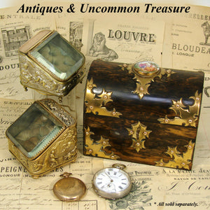 Fine Antique Victorian Coromandel & Gilt Bronze Gothic Double Scent Caddy, Casket, Box