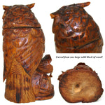 Antique Black Forest 10.5" Tall Owl Figure, a Tobacco or Smoker’s Caddy & Match Holder, Pipe or Cigar