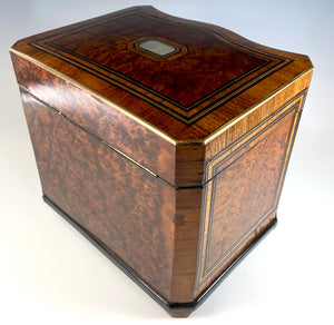 Antique French Napoleon III Era Large Elegant Cigar Chest, Box, Presentation Humidor