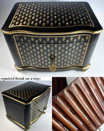 Fine Antique French Napoleon III Boulle & Ebony 11" x 7.5" Cigar Cabinet, Chest, Box, c.1850