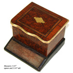 Antique French Napoleon III Era Casket, Match Holder with Striker Panel, Burled & Kingwood