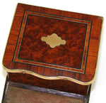 Antique French Napoleon III Era Casket, Match Holder with Striker Panel, Burled & Kingwood