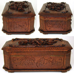 Antique Victorian Era Black Forest Carved 9" Box, Ornate Vines, Foliage & Flower Accents