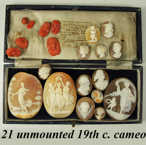 21 Antique Unmounted Victorian Era Italy Cameo, Group of 14 Shell and 7 Red Coral