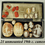 21 Antique Unmounted Victorian Era Italy Cameo, Group of 14 Shell and 7 Red Coral