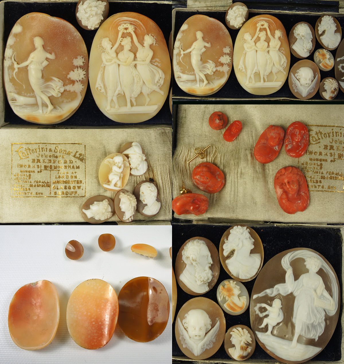 21 Antique Unmounted Victorian Era Italy Cameo, Group of 14 Shell and 7 Red Coral