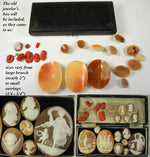 21 Antique Unmounted Victorian Era Italy Cameo, Group of 14 Shell and 7 Red Coral