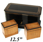 Antique French Louis Philippe to Napoleon III 12.5" Tea Caddy, Chest, Two Opulent Inner Tea Boxes