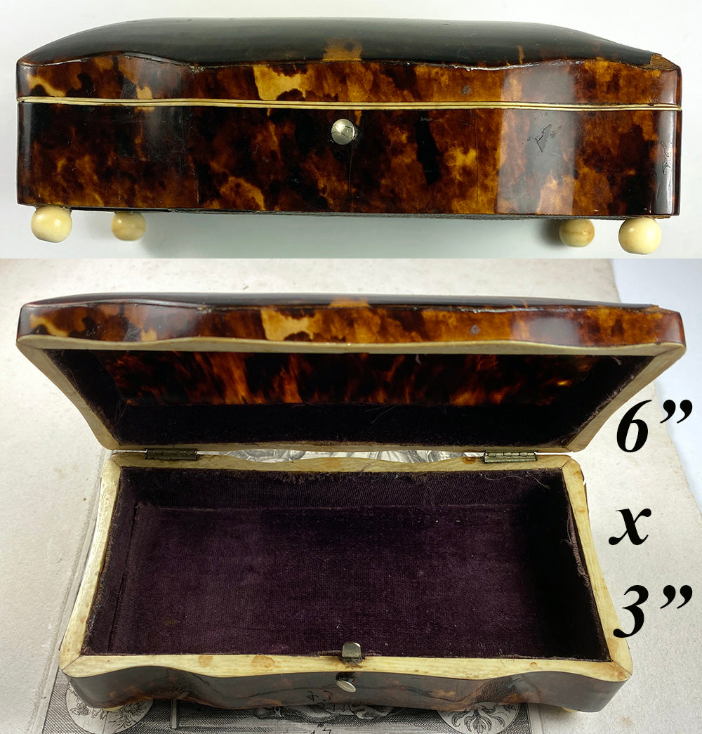 Antique 19th Century Dutch or French Made Tortoise Shell Jewelry Box, 6" x 3", Domed Top