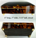 Antique 19th Century Dutch or French Made Tortoise Shell Jewelry Box, 6" x 3", Domed Top