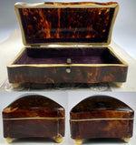 Antique 19th Century Dutch or French Made Tortoise Shell Jewelry Box, 6" x 3", Domed Top