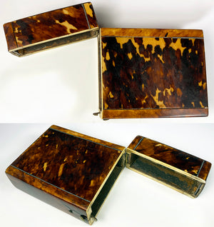 Superb 19th Century Cigar Case, Box, Opulent Antique Tortoise Shell Etui Foil Lined