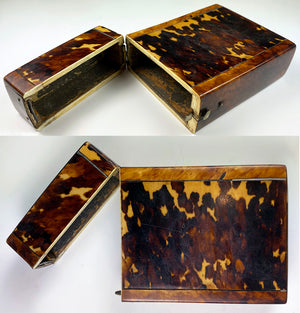 Superb 19th Century Cigar Case, Box, Opulent Antique Tortoise Shell Etui Foil Lined