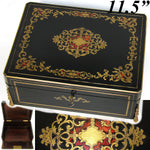 Elegant Antique French Napoleon III 11.5” Writer’s Work Box, Ornate Boulle Inlay