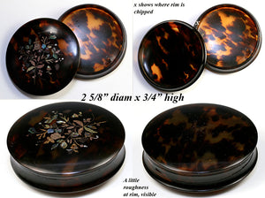 Antique French c.1830-50s Pique Tortoise Shell Snuff or Powder, Patch Box, Shell & Tortoiseshell