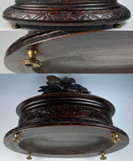 Antique Swiss HC Black Forest 10" Oval Jewelry Casket, Chest, Box, Pheasants