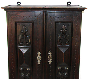 Lg Antique Victorian Era Carved Walnut 23" Wall Cabinet, Specimen or Medicine Chest