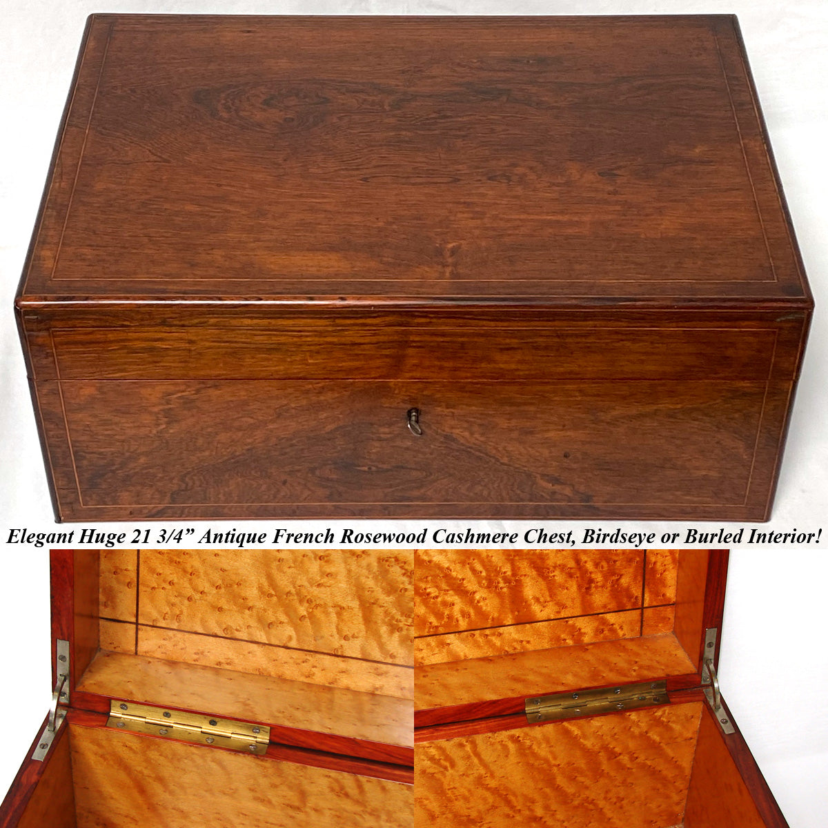 Large Antique French Napoleon III Era 22" Cashmere Chest, Box, Rosewood with Burled Interior