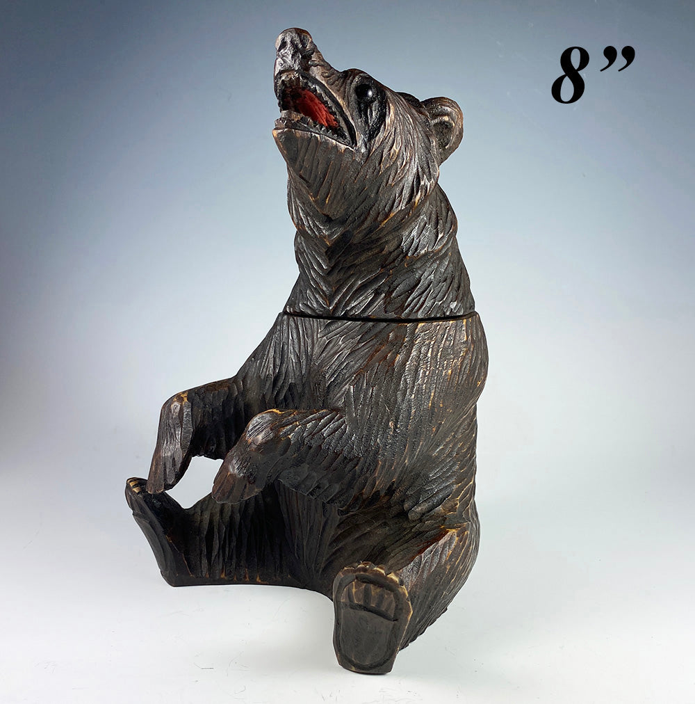 Vintage to Antique HC Swiss Black Forest Bear is a Cigar or Pipe Smoker's Stand, Hinged Head