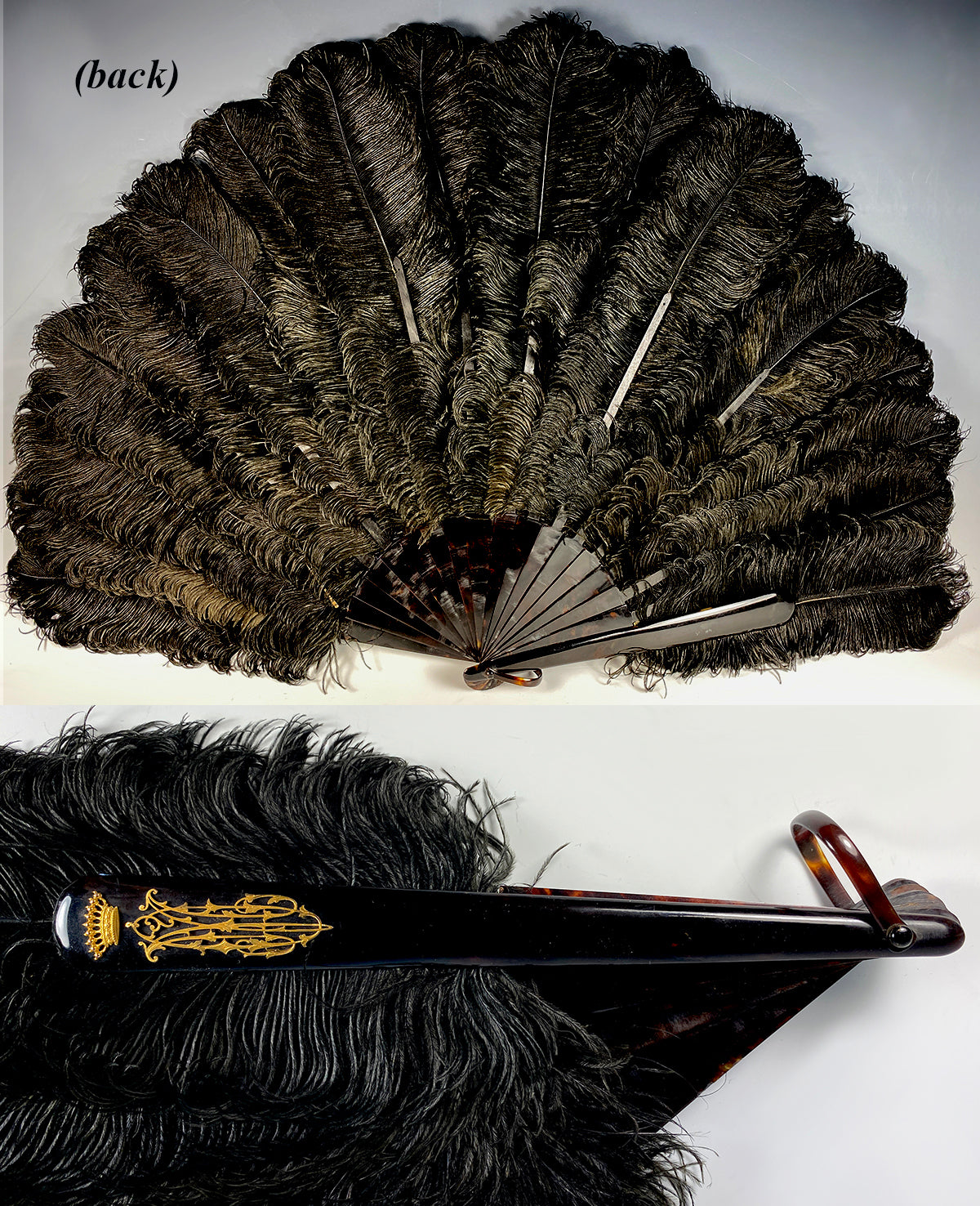 Antiques & Uncommon Treasure Big 19th C. Antique Ostrich Feather Fan, 39 cm Open, Tortoise Shell Monture and 18K Crown Monogram