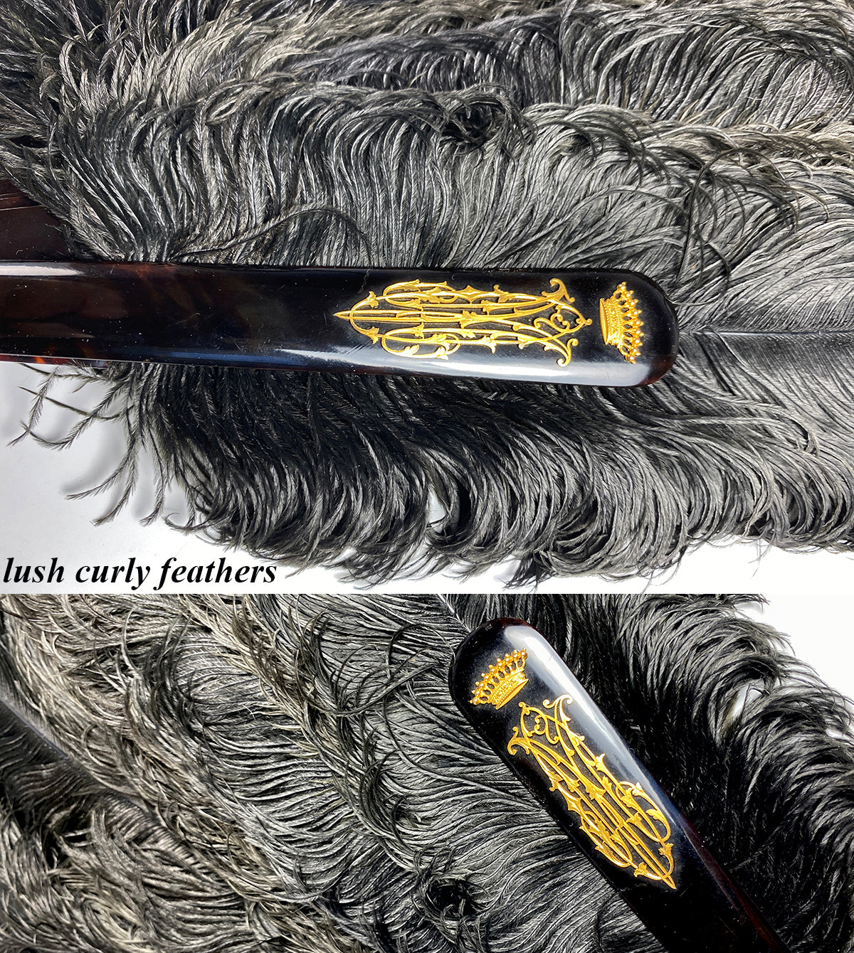 BIG 19th c. Antique Ostrich Feather Fan, 39 cm Open, Tortoise Shell Mo –  Antiques & Uncommon Treasure