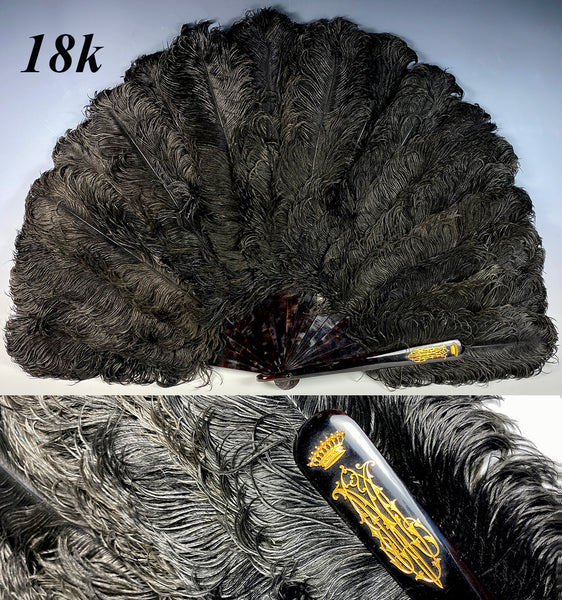 BIG 19th c. Antique Ostrich Feather Fan, 39 cm Open, Tortoise Shell Mo –  Antiques & Uncommon Treasure