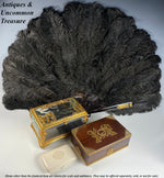 BIG 19th c. Antique Ostrich Feather Fan, 39 cm Open, Tortoise Shell Monture and 18k Crown Monogram