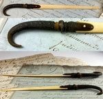 Antique Black Forest Letter Opener w Chamois Horn or Antler and an Ivory Blade 8 1/8"