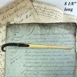 Antique Black Forest Letter Opener w Chamois Horn or Antler and an Ivory Blade 8 1/8"