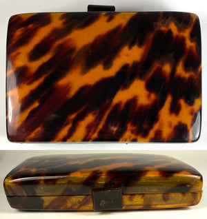 Antique French Tortoise Shell Minaudière Cosmetic Purse with Suede Leather Scabbard, c.1920