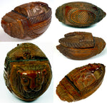 Antique Napoleon Era Carved 3" x 1 3/4" Coquille Nut Snuff Box, Soldier, Lion, Man