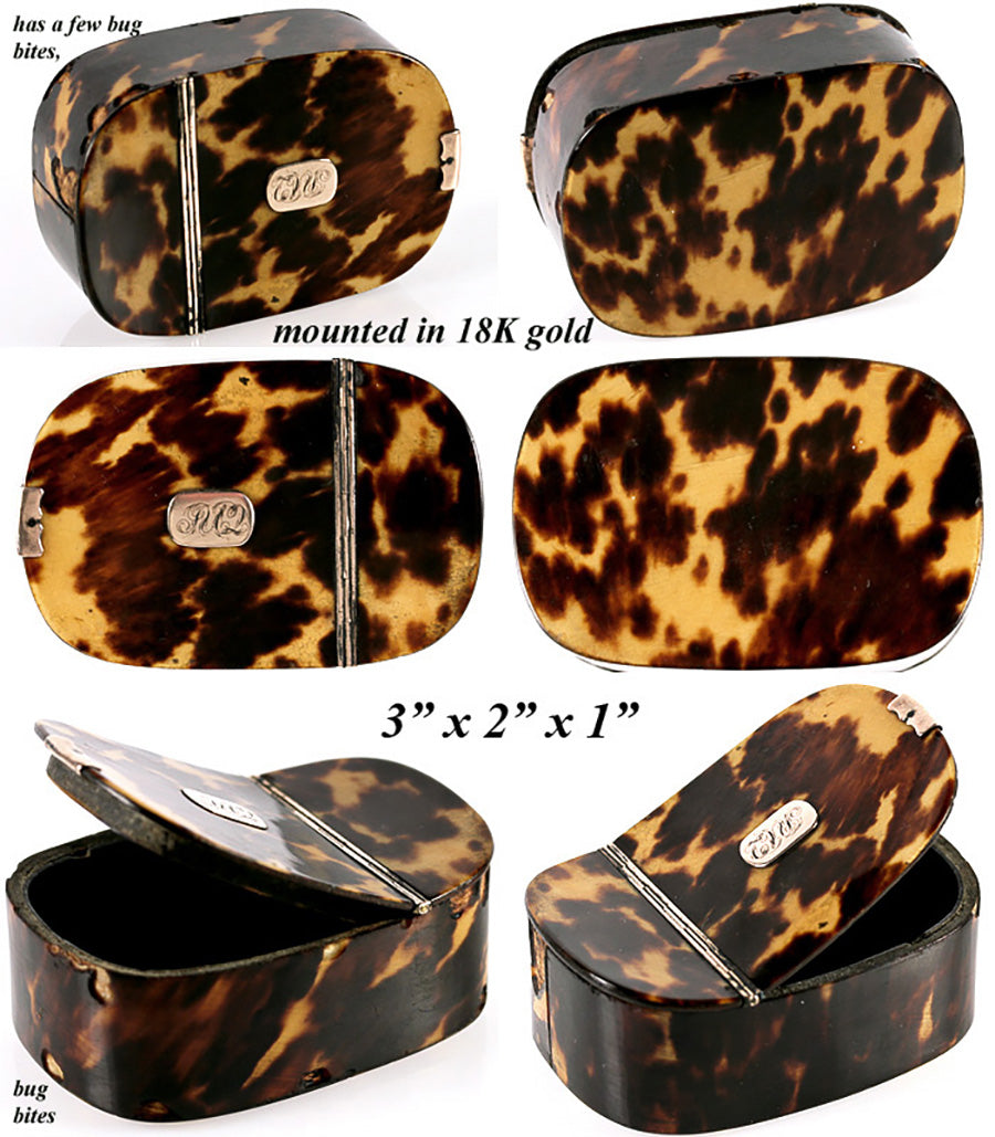 Tortoise Shell Snuff Box Fine Antique Georgian Era Tortoise Shell Table Snuff Box, Casket - Fre ...