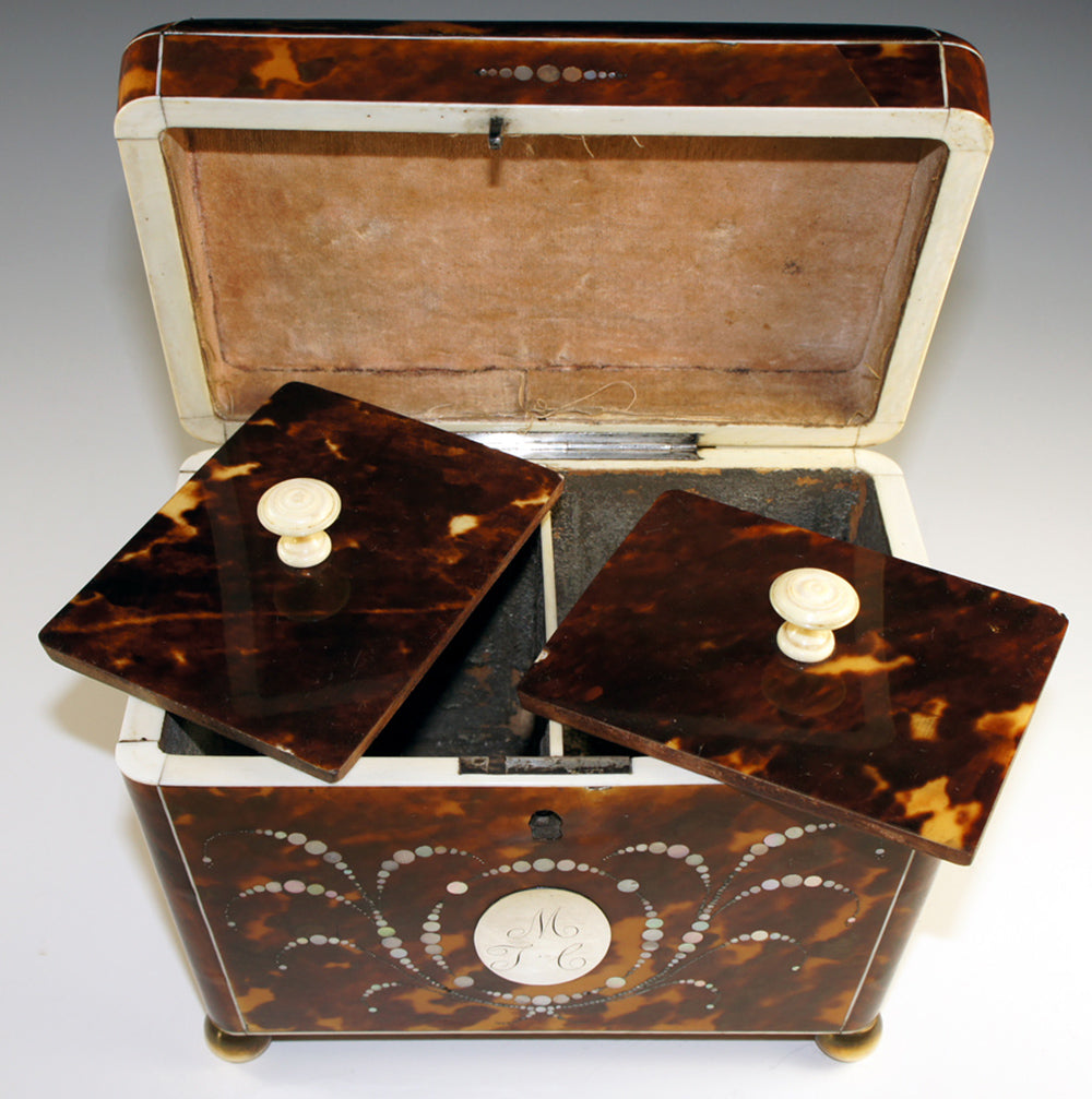 Magnificent Antique Tortoise Shell Inlay Tea Caddy, Double Well - English Victorian Tortoiseshell