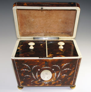 Magnificent Antique Tortoise Shell Inlay Tea Caddy, Double Well - English Victorian Tortoiseshell