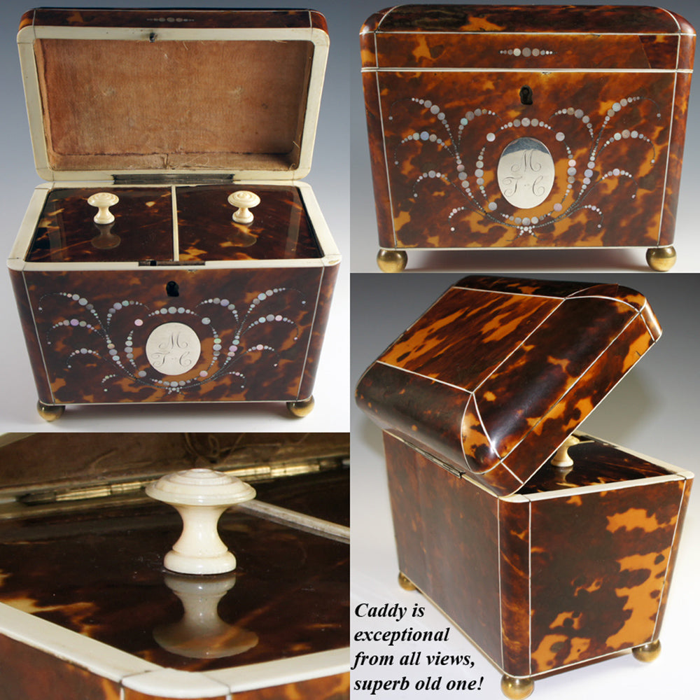 Magnificent Antique Tortoise Shell Inlay Tea Caddy, Double Well - English Victorian Tortoiseshell