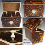 Magnificent Antique Tortoise Shell Inlay Tea Caddy, Double Well - English Victorian Tortoiseshell