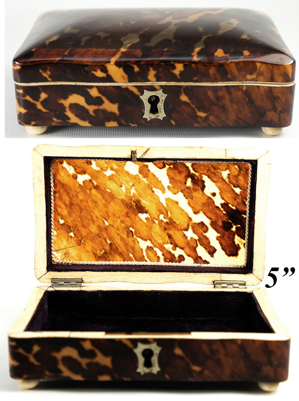 Antique Dutch 5" x 3" Tortoise Shell Casket, Jewelry Box, Ivory Bun Feet, c.1870-1900