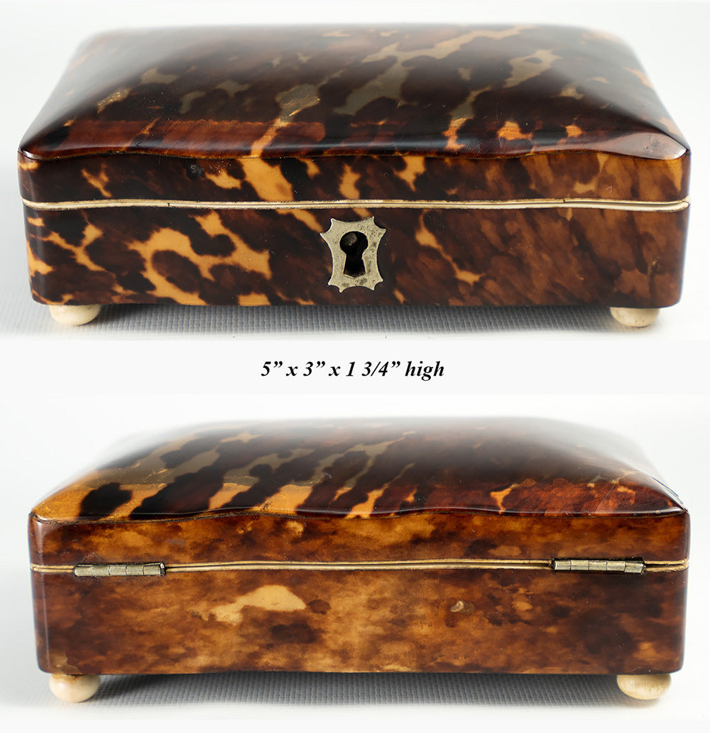 Antique Dutch 5" x 3" Tortoise Shell Casket, Jewelry Box, Ivory Bun Feet, c.1870-1900