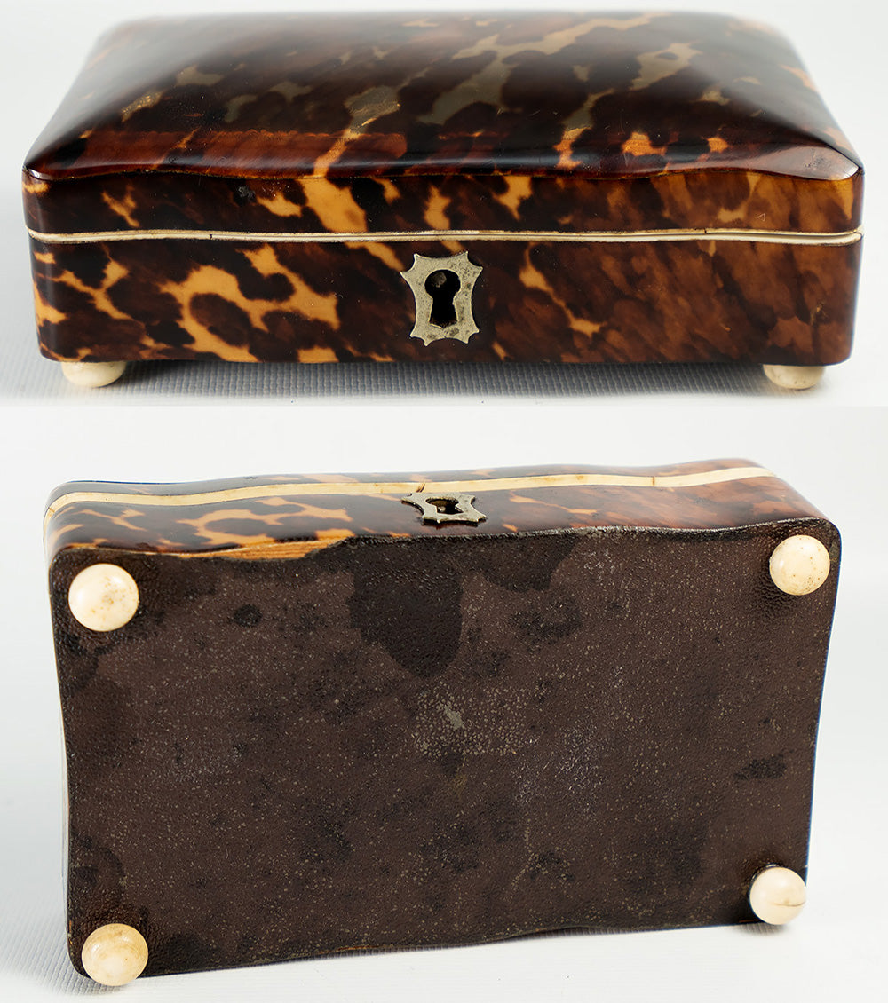 Antique Dutch 5" x 3" Tortoise Shell Casket, Jewelry Box, Ivory Bun Feet, c.1870-1900