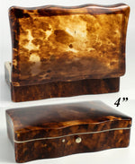 Antique Dutch 4 1/4" x 2 3/4" Tortoise Shell Casket, Box, Ivory Bun Feet, c.1870-1900