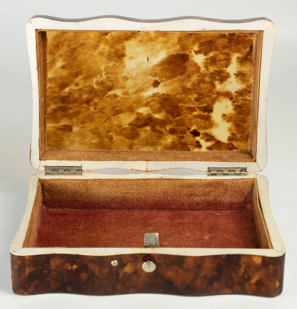 Antique Dutch 4 1/4" x 2 3/4" Tortoise Shell Casket, Box, Ivory Bun Feet, c.1870-1900