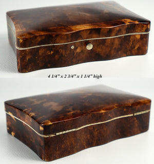 Antique Dutch 4 1/4" x 2 3/4" Tortoise Shell Casket, Box, Ivory Bun Feet, c.1870-1900