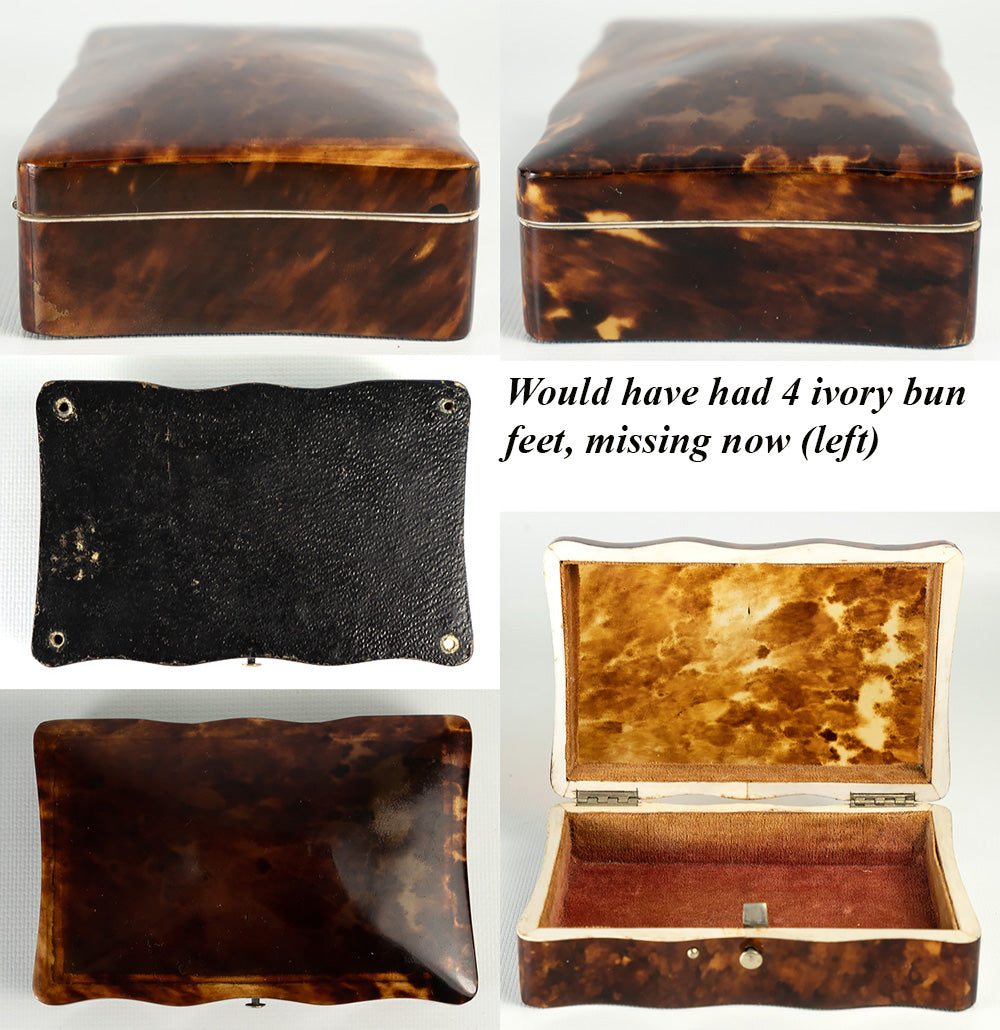 Antique Dutch 4 1/4" x 2 3/4" Tortoise Shell Casket, Box, Ivory Bun Feet, c.1870-1900