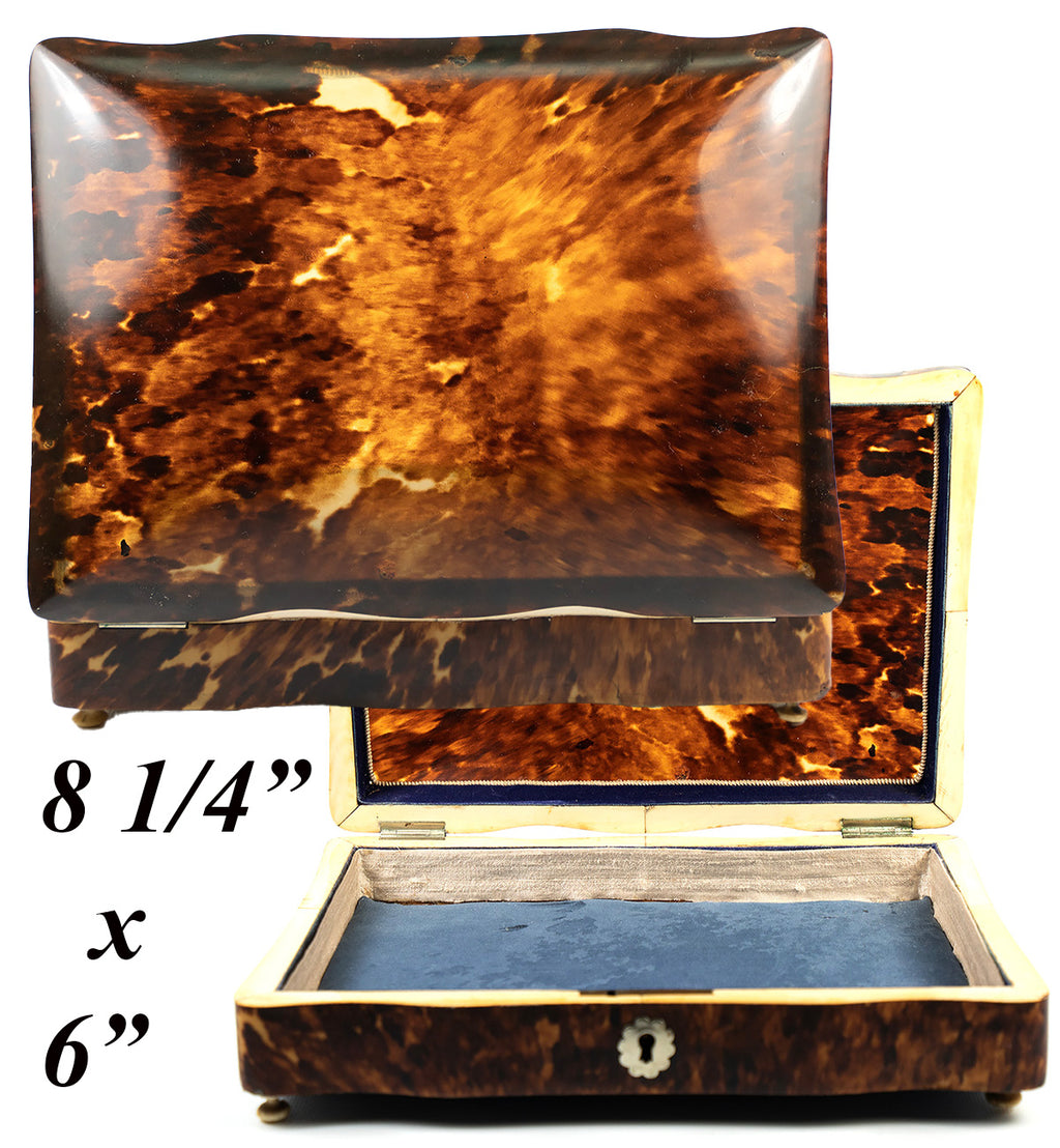 Large Antique Dutch 8.25" x 6" Tortoise Shell Casket, Box, Ivory Bun Feet, c.1870-1900