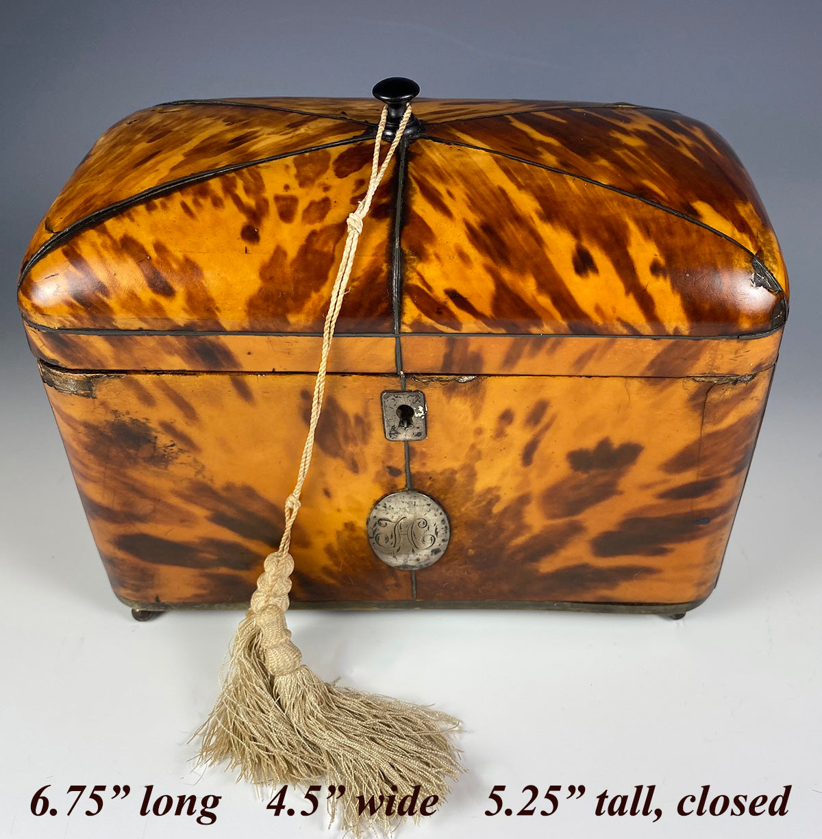 Superb Georgian (1770s) English Tortoise Shell Tea Caddy, Tortoiseshell, 6.75" Long