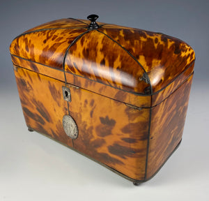 Superb Georgian (1770s) English Tortoise Shell Tea Caddy, Tortoiseshell, 6.75" Long