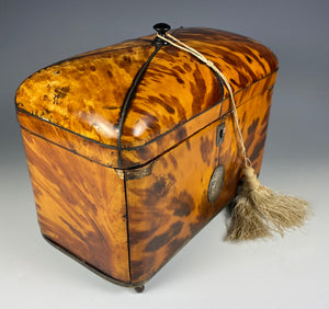 Superb Georgian (1770s) English Tortoise Shell Tea Caddy, Tortoiseshell, 6.75" Long