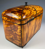 Superb Georgian (1770s) English Tortoise Shell Tea Caddy, Tortoiseshell, 6.75" Long