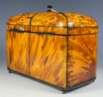 Superb Georgian (1770s) English Tortoise Shell Tea Caddy, Tortoiseshell, 6.75" Long